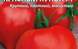 КРАСНЫЙ КУПОЛ