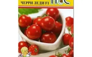 ЧЕРРИ ЛЕДИ