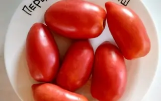 ПЕРЦЕВИДНЫЙ КРЕПЫШ