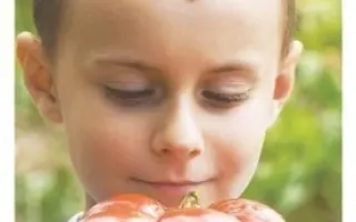 БУГАЙ КРАСНЫЙ