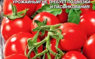 МАРЬЮШКА