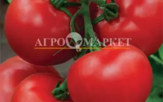 ПЕГАС