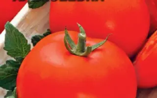 АЛЕКСЕЕВНА