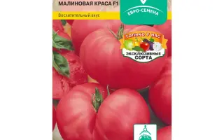 МАЛИНОВАЯ КРАСА