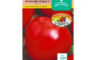 ОГНЕННОЕ СЕРДЦЕ