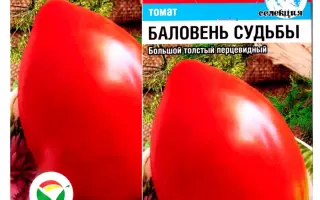 БАЛОВЕНЬ СУДЬБЫ