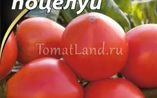 СЕРДЕЧНЫЙ ПОЦЕЛУЙ