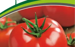 КРАСНАЯ СТРЕЛА ПЛЮС