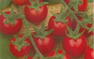 ДЕТСКИЙ САД