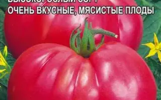 ПЫЛАЮЩЕЕ СЕРДЦЕ