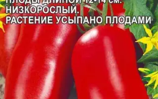 КРАСНОГВАРДЕЕЦ