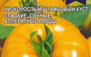 ЗВАНЫЙ ВЕЧЕР