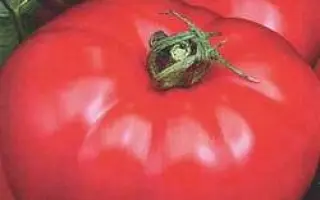 РУССКИЙ ВКУС