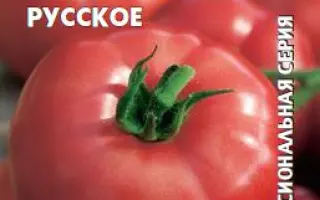 СЧАСТЬЕ РУССКОЕ