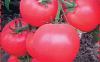 РУССКИЙ ГЕРОЙ