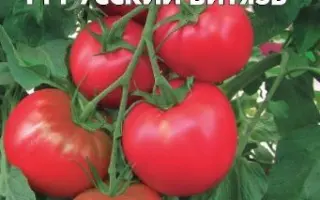 РУССКИЙ ВИТЯЗЬ