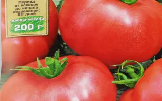 РУМЯНЫЙ БОК