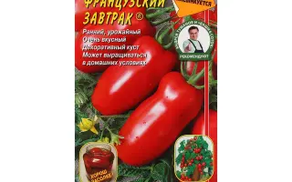 ФРАНЦУЗСКИЙ ЗАВТРАК