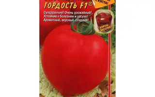 БАБУШКИНА ГОРДОСТЬ