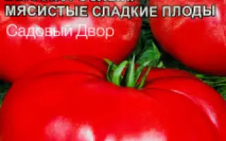 ЕЛИСЕЕВСКИЙ