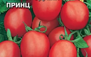 БЛАГОРОДНЫЙ ПРИНЦ