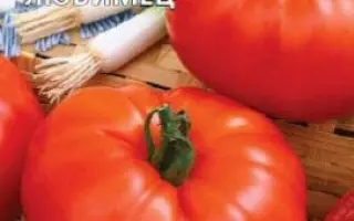 ДАЧНЫЙ ЛЮБИМЕЦ