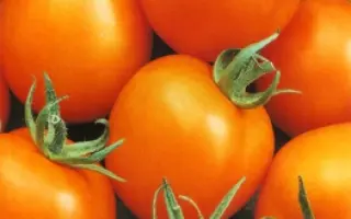 МЕДОВАЯ ГРОЗДЬ