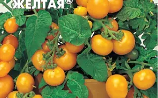 ЖЕМЧУЖИНА ЖЕЛТАЯ