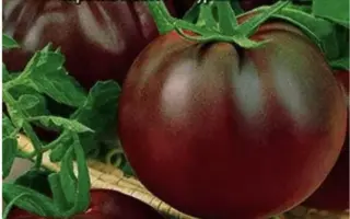 НЕГРИТЕНОК