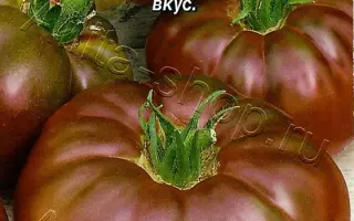 ЧЕРНЫЙ БАРОН