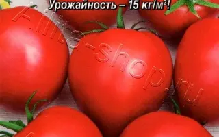 ПРИМА ДОНА