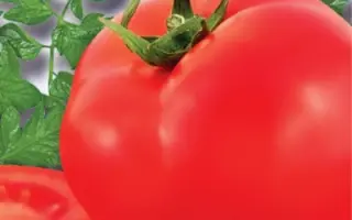 ИНФИНИТИ
