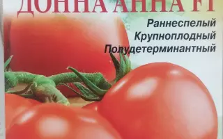 ДОННА АННА