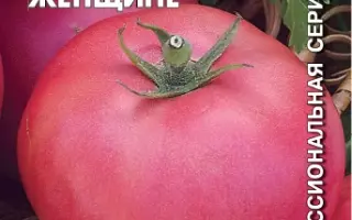 ПОДАРОК ЖЕНЩИНЕ