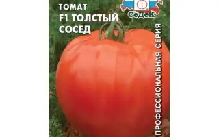 ТОЛСТЫЙ СОСЕД