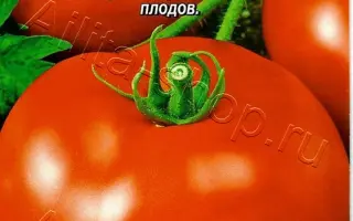 КРАСНЫЕ ЩЕЧКИ