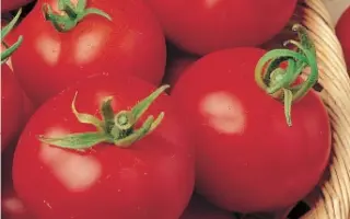 МАЛЬЧИК-С-ПАЛЬЧИК