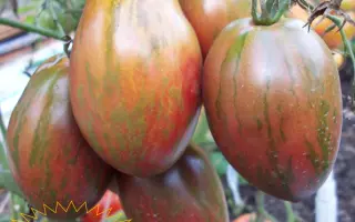 СЛАДКОЕЖКА