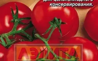 КРАСНАЯ ПОЛЯНА