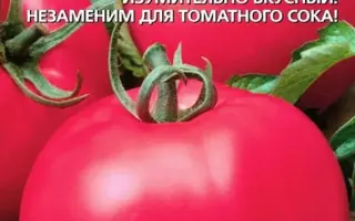 МАЛИНОВЫЙ ШАР