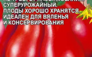 СИБИРСКИЙ ПИРУЭТ