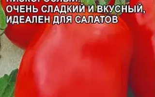 ВОЛОВЬИ УШИ