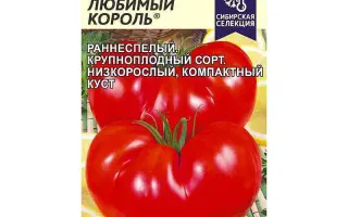 ЛЮБИМЫЙ КОРОЛЬ