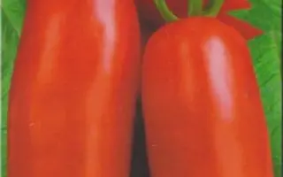 СУПЕРМОДЕЛЬ