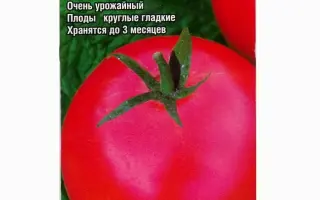 БИЗНЕС ЛЕДИ