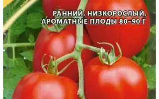 НОВИЧОК ДЕ ЛЮКС