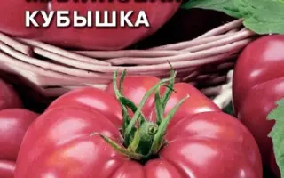 МАЛИНОВАЯ КУБЫШКА