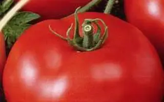 КРАСНОГОРСКИЙ