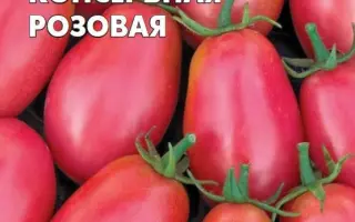 ГРУШКА КОНСЕРВНАЯ