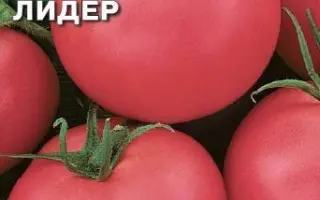 РОЗОВЫЙ ЛИДЕР